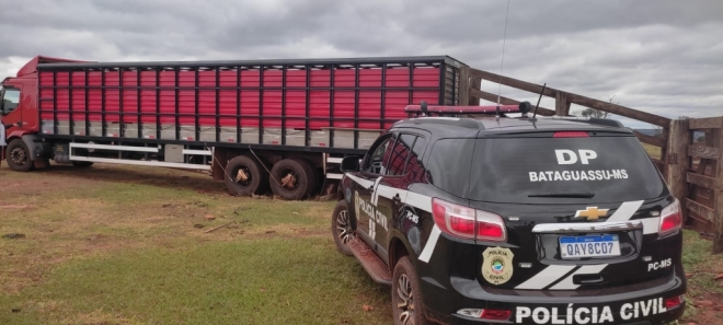Gado roubado de fazendas no interior do estado é recuperado pela polícia