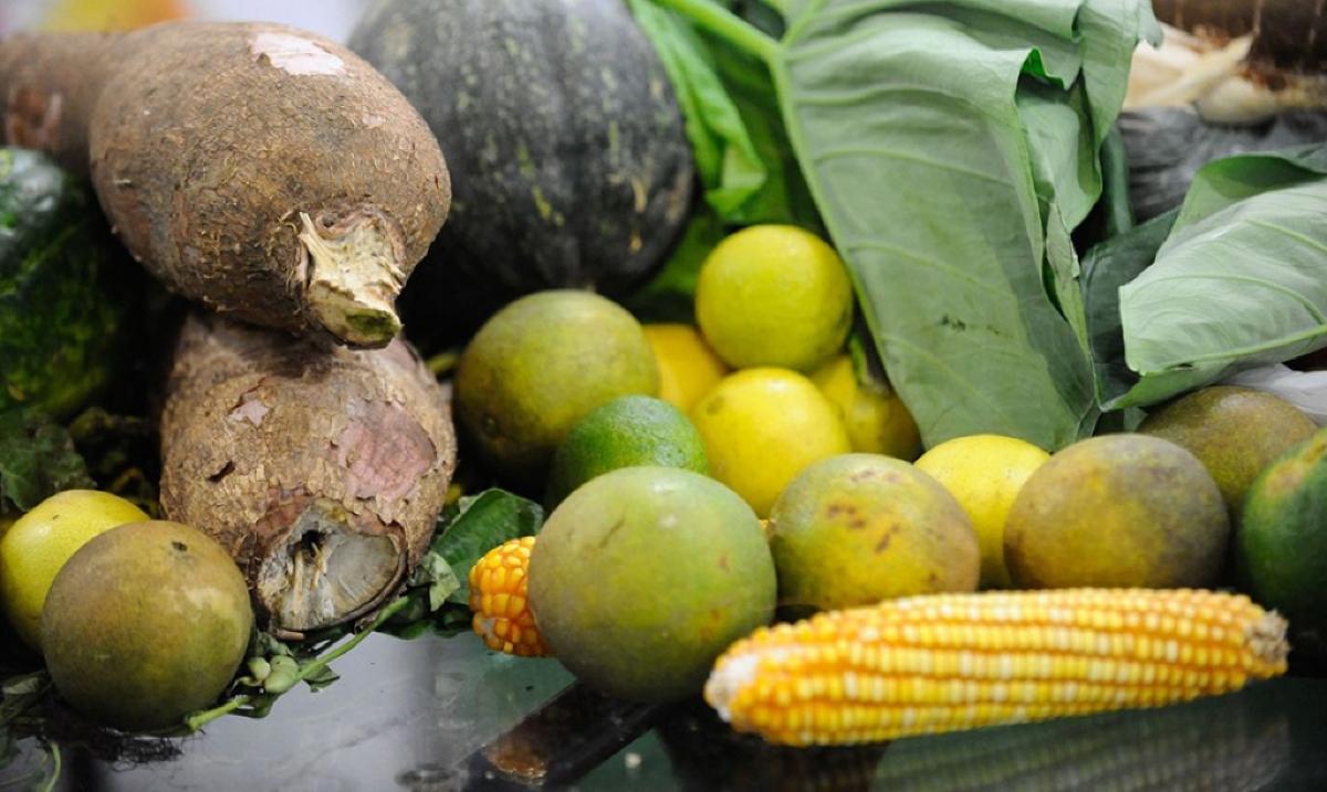 Vitamina D pode trazer benefícios e malefícios para a saúde