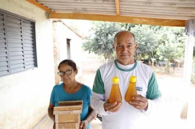 Produtores de mel se profissionalizam por meio de curso do Senar/MS