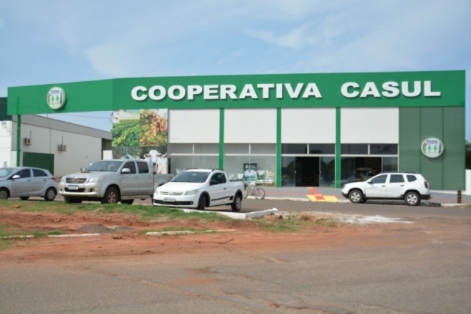 Cooperativa em abre caminho para expansão do amendoim em MS