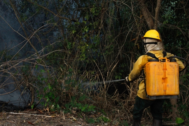 Incêndios reduzem em todos os biomas, mas Pantanal ainda preocupa