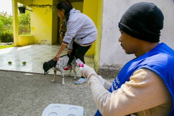 Campanha de vacinação antirrábica de cães e gatos segue até sexta-feira