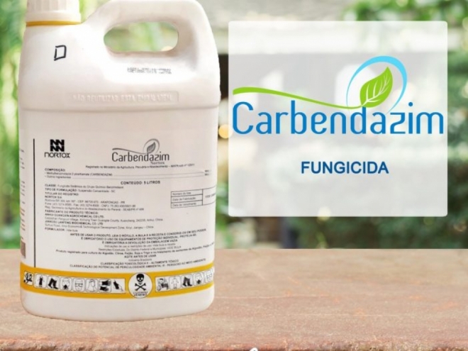 Projeto anula resolução da Anvisa para autorizar uso do fungicida carbendazim no Brasil