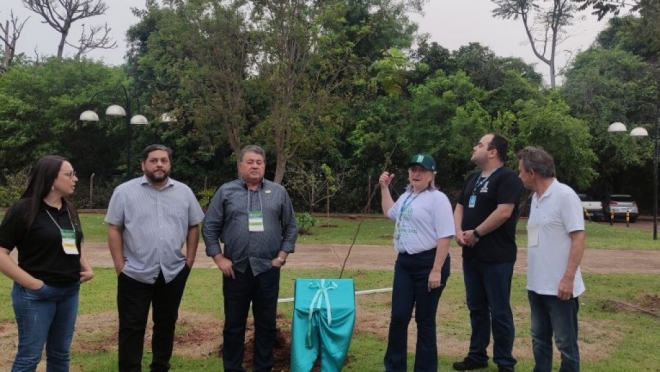 Campo Grande segue sendo referência mundial em preservação de florestas urbanas
