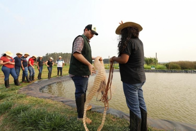 Evento envolveu mais de 100 alunos do Curso Técnico em Agropecuária do Senar/MS
