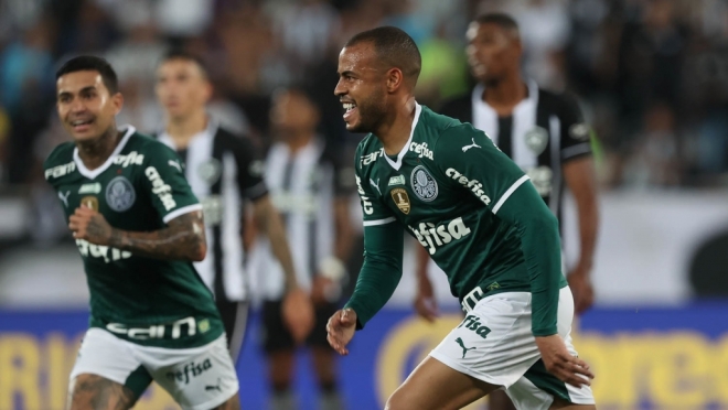 Botafogo Palmeiras