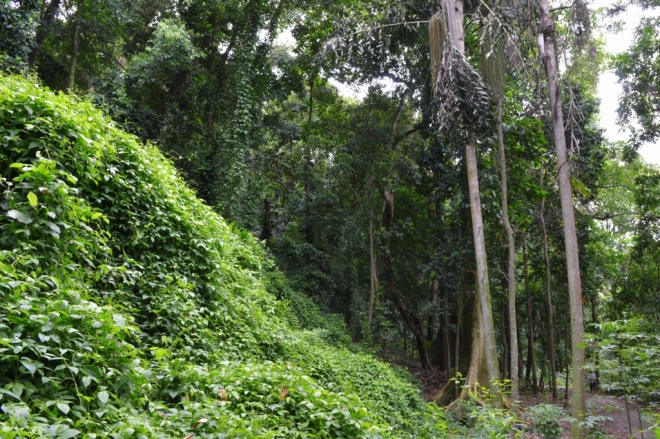 Cerca de 60% das indústrias brasileiras têm área dedicada à sustentabilidade