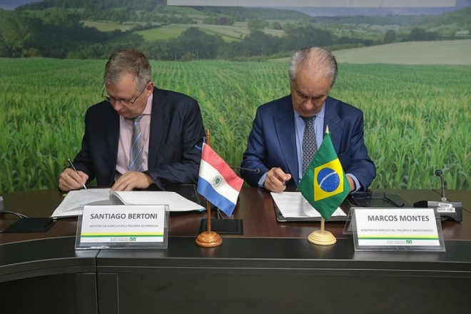 Saúde animal: Brasil e Paraguai assinam acordo para ações conjuntas