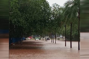 Chuvas deixam estragos em várias regiões de Campo Grande