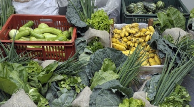 MS tem mais de 300 editais para compra de merenda escolar em aberto
