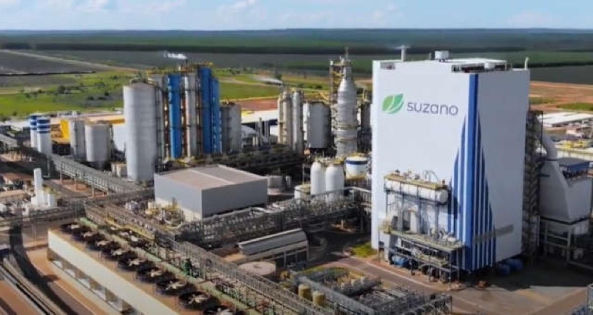 Empresa de celulose Suzano está com vagas abertas