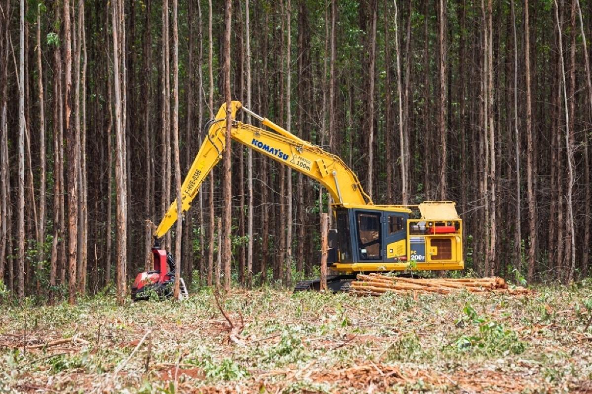 Suzano abre novas vagas em curso de Mecânica de Máquinas Florestais