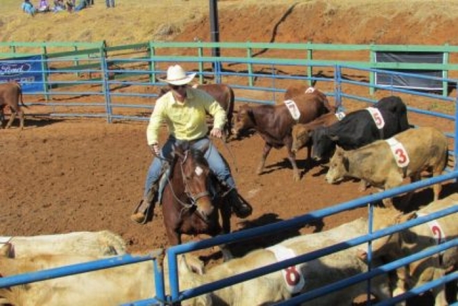 Competição de Ranch Sorting movimenta Três Lagoas neste sábado