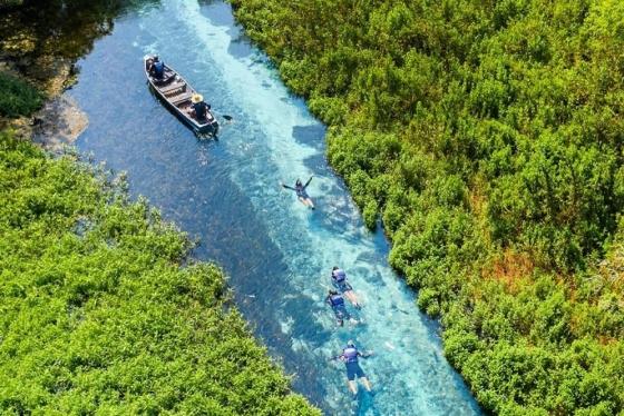 Rios com águas cristalinas em Bonito