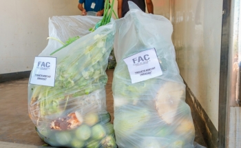 Projeto Hortas Urbanas atende famílias do bairro São Conrado 