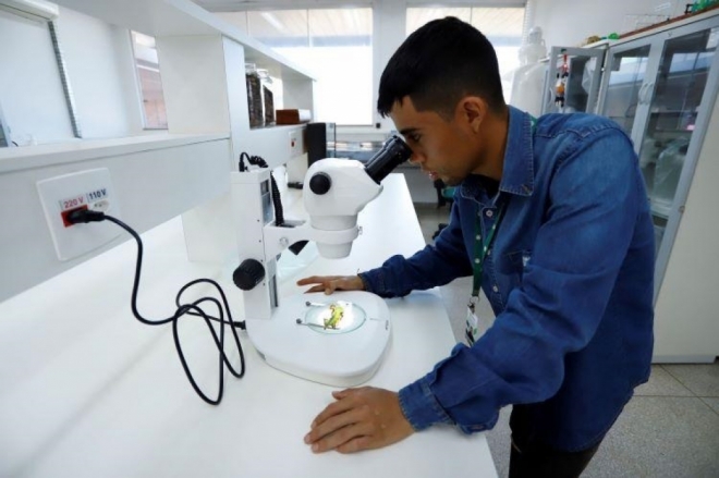 Mais de 60% das vagas de técnico agropecuário são de jovens entre 18 e 24 anos em MS