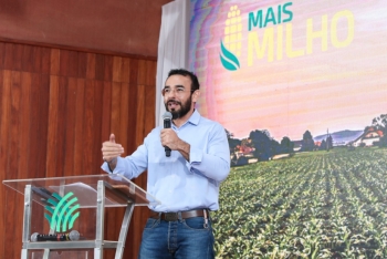 Safra de milho pode crescer 5,4% em Mato Grosso do Sul
