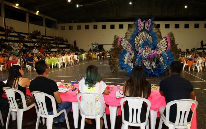 Desfile de Fantasias premia criatividade e requinte de carnavalescos em Corumbá