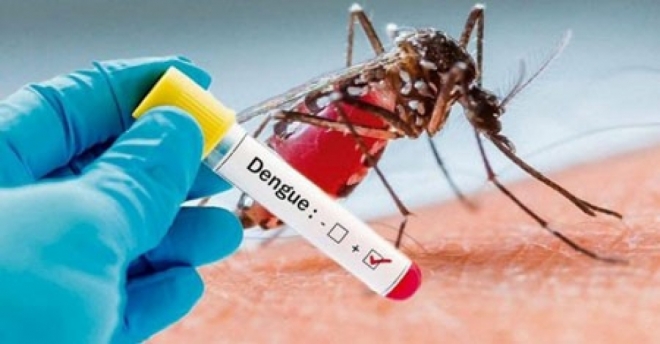 Mais de 300 casos positivos da dengue são registradas