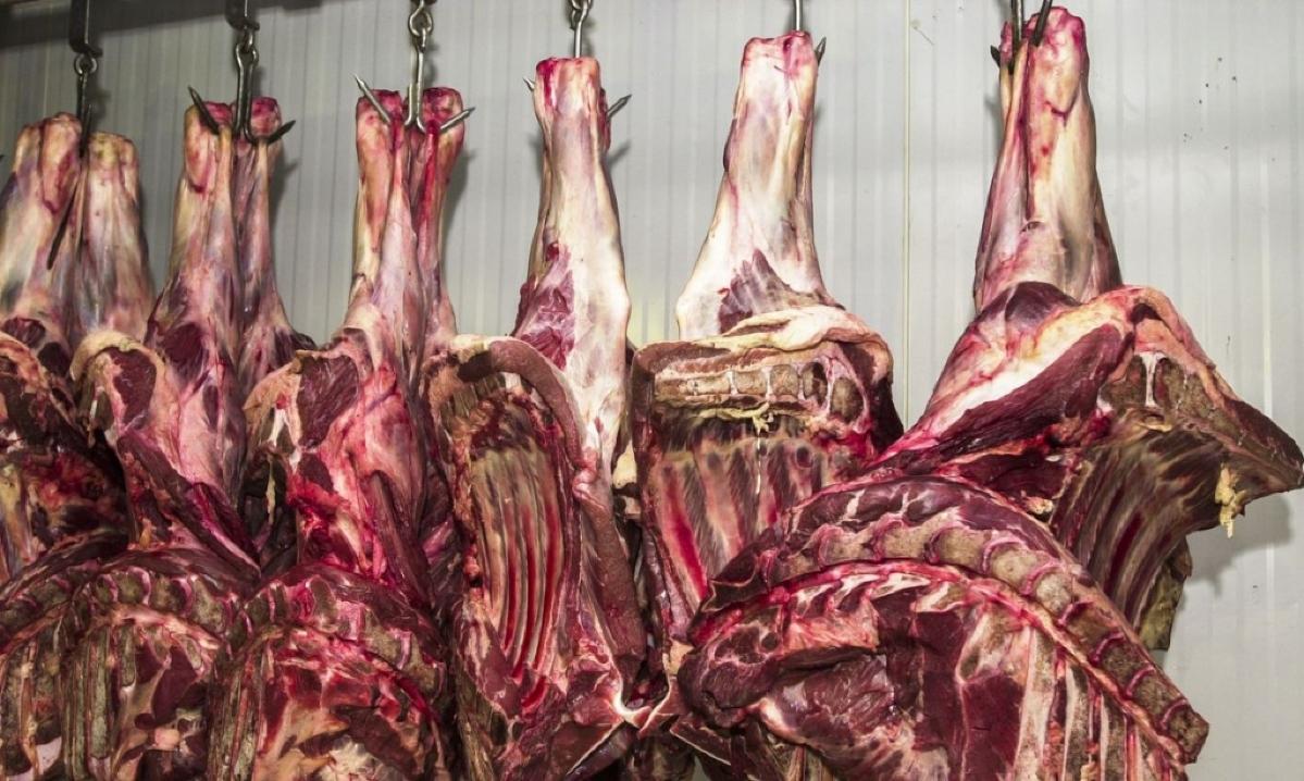 Abate de bovinos volta a crescer e MS está no ranking com 11% , segundo o IBGE 