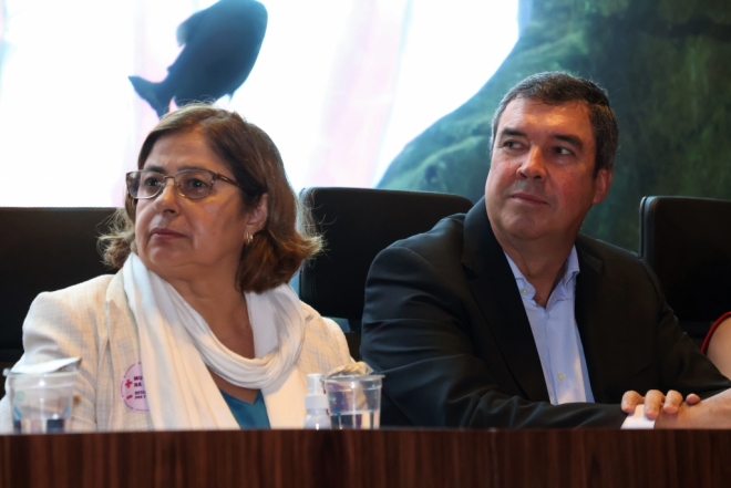 MS e Governo Federal assinam termo pelo fim da violência contra mulher