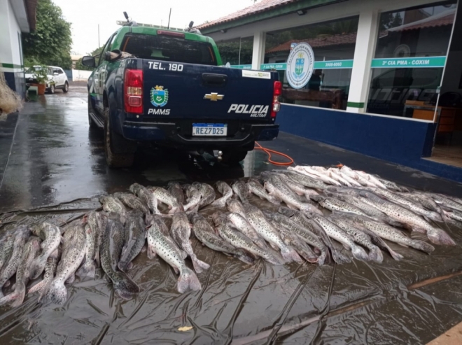 Pescador é preso em flagrante com 360kg de peixe típico da Páscoa