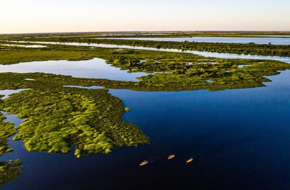 Ações integradas do Governo do Estado garantem redução de incêndios no Pantanal