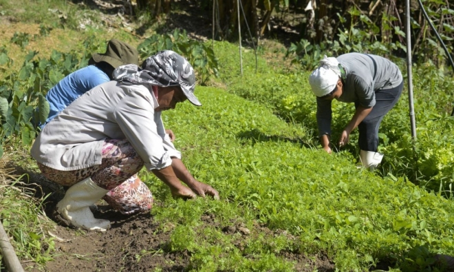 Comparativo sobre mercado de trabalho do agronegócio apresentou queda de 2,43% no setor primário entre 2021 e 2022