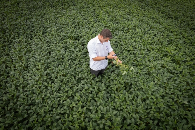 BASF apresenta novidades em fungicidas para soja em Maracaju
