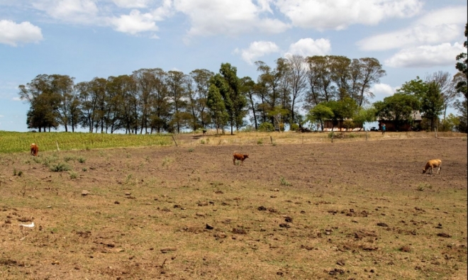 Nos últimos 10 anos, produção agropecuária perdeu R$ 287 bi devido desastres naturais