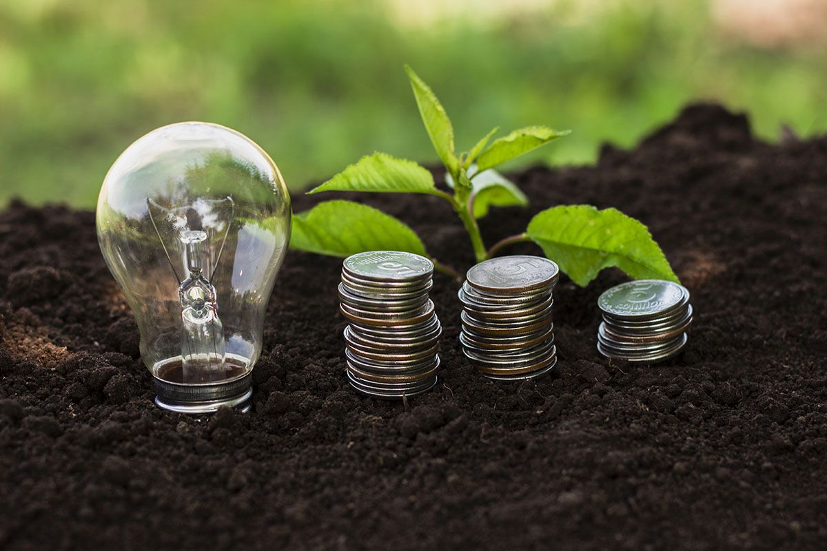Mercado de carbono pode gerar US$ 120 bilh&otilde;es para o Brasil at&eacute; 2030