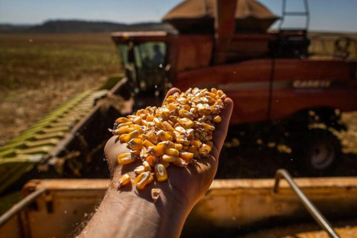 Plano Safra 2023/2024 anuncia mais de R$ 435 bilhões para o agro