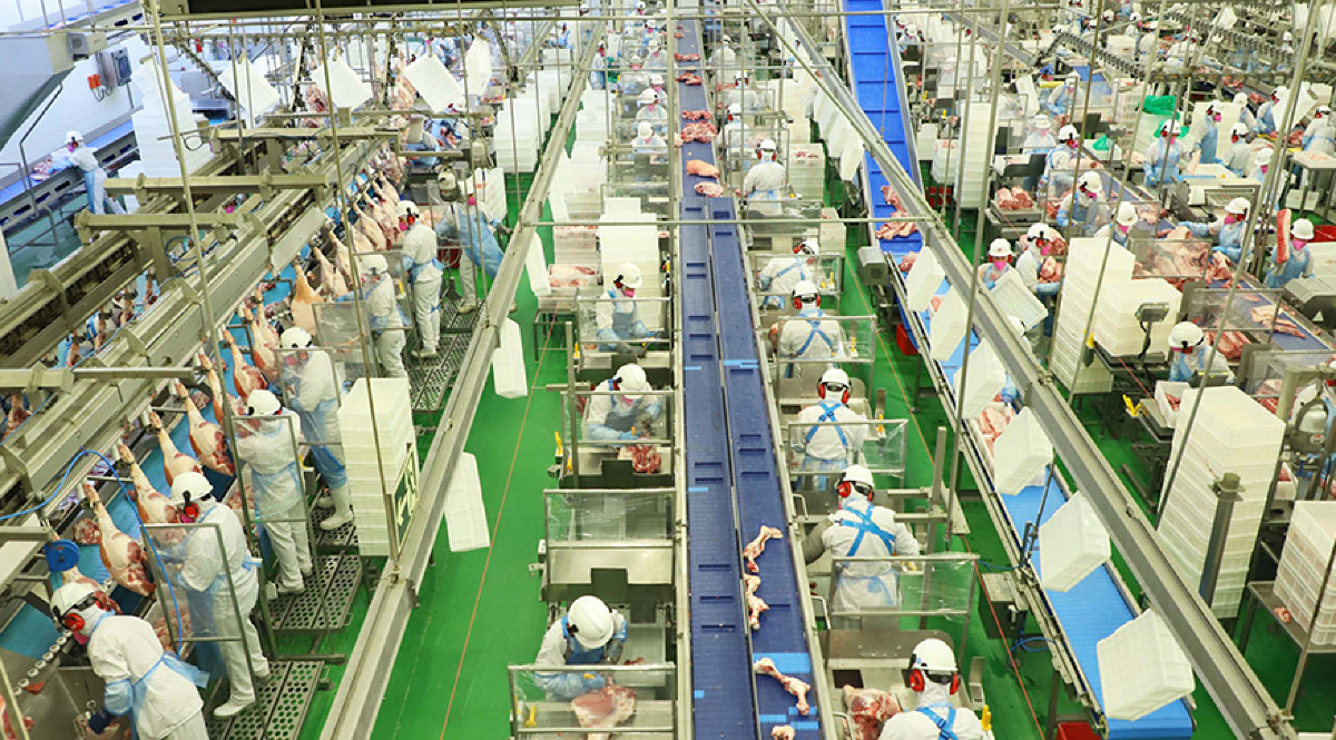 Ocupação na indústria cresce 5,3%