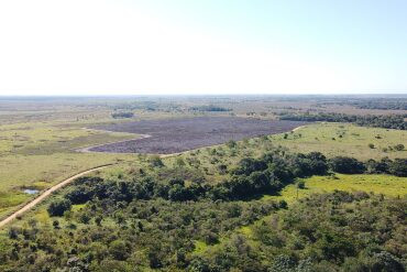 Ação inédita de manejo integrado do fogo foi realizada no Parque Estadual das Várzeas do Rio Ivinhema