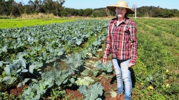 Comunidade Quilombola Chácara Buriti se transforma em celeiro de produção