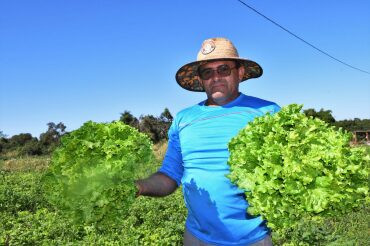 Comunidade Quilombola Chácara Buriti se transforma em celeiro de produção