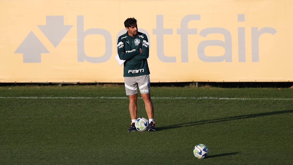 BOTAFOGO TEM CAMINHOS PARA VENCER O PALMEIRAS