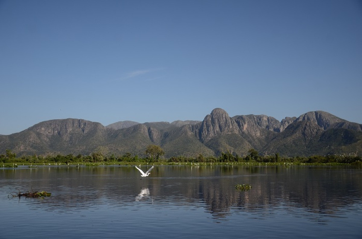 Fogo Pantanal: Estudo é desenvolvido sobre as queimadas registrada na Rede Amolar