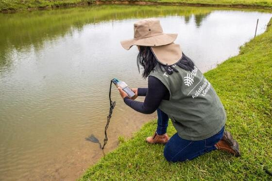 Veja as orientações para  para evitar prejuízos no campo