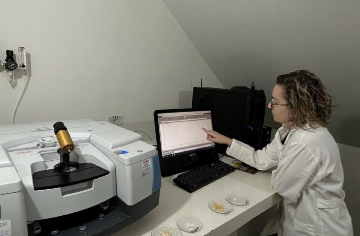 Uso da biomassa &eacute; tema de pesquisa desenvolvida por professoras da UEMS