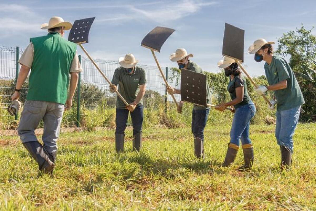 Com a estiagem, produtores rurais treinam prevenção aos incêndios no campo