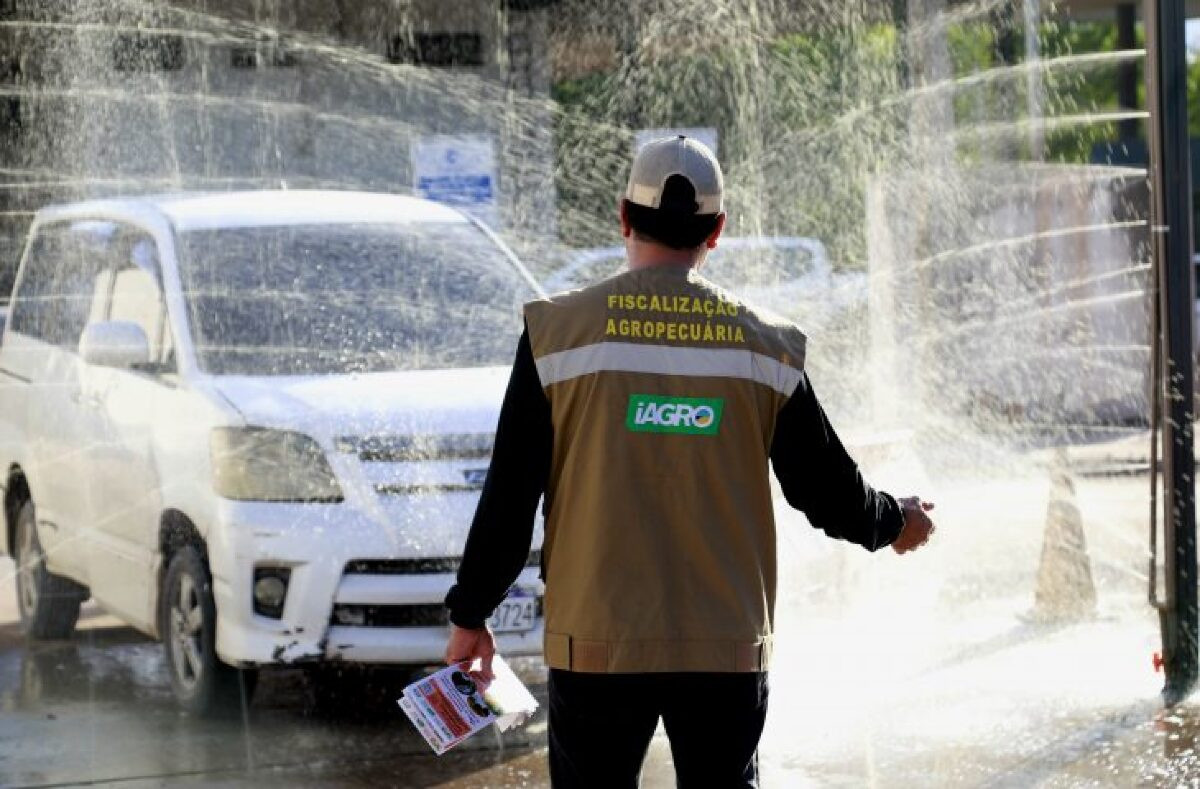 Governo intensifica ações para prevenir gripe aviária