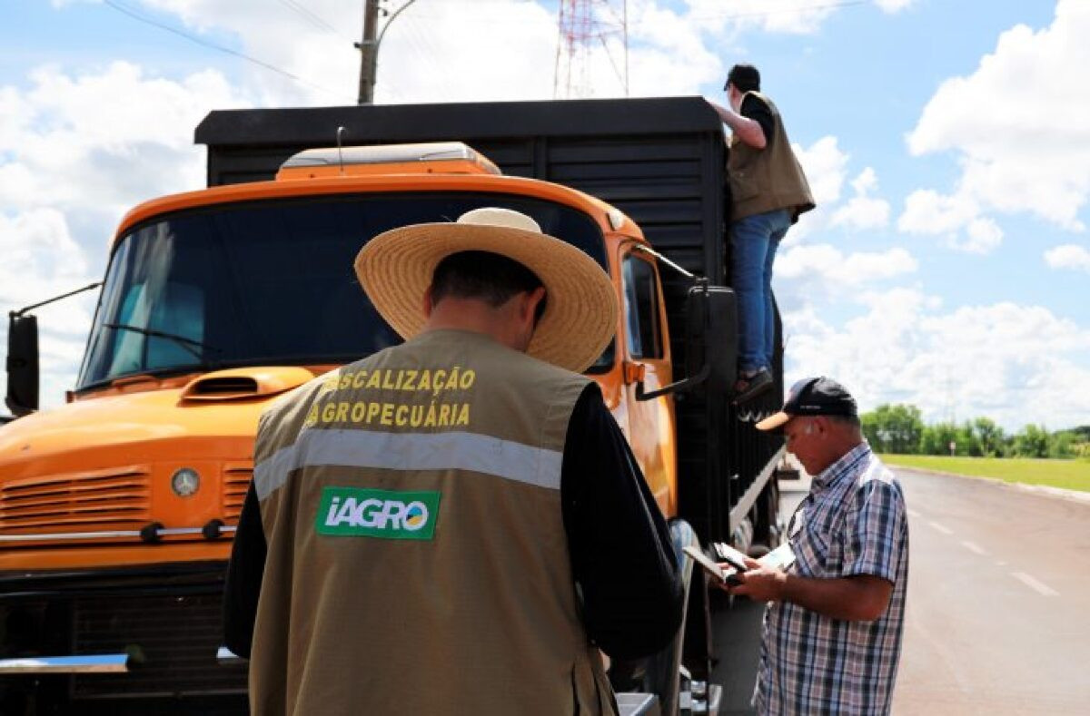 Portaria estabelece normas para controle e prevenção do ‘Mormo’