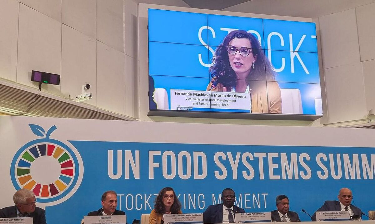 Brasil muda posi&ccedil;&atilde;o sobre liberalizar com&eacute;rcio mundial de alimentos
