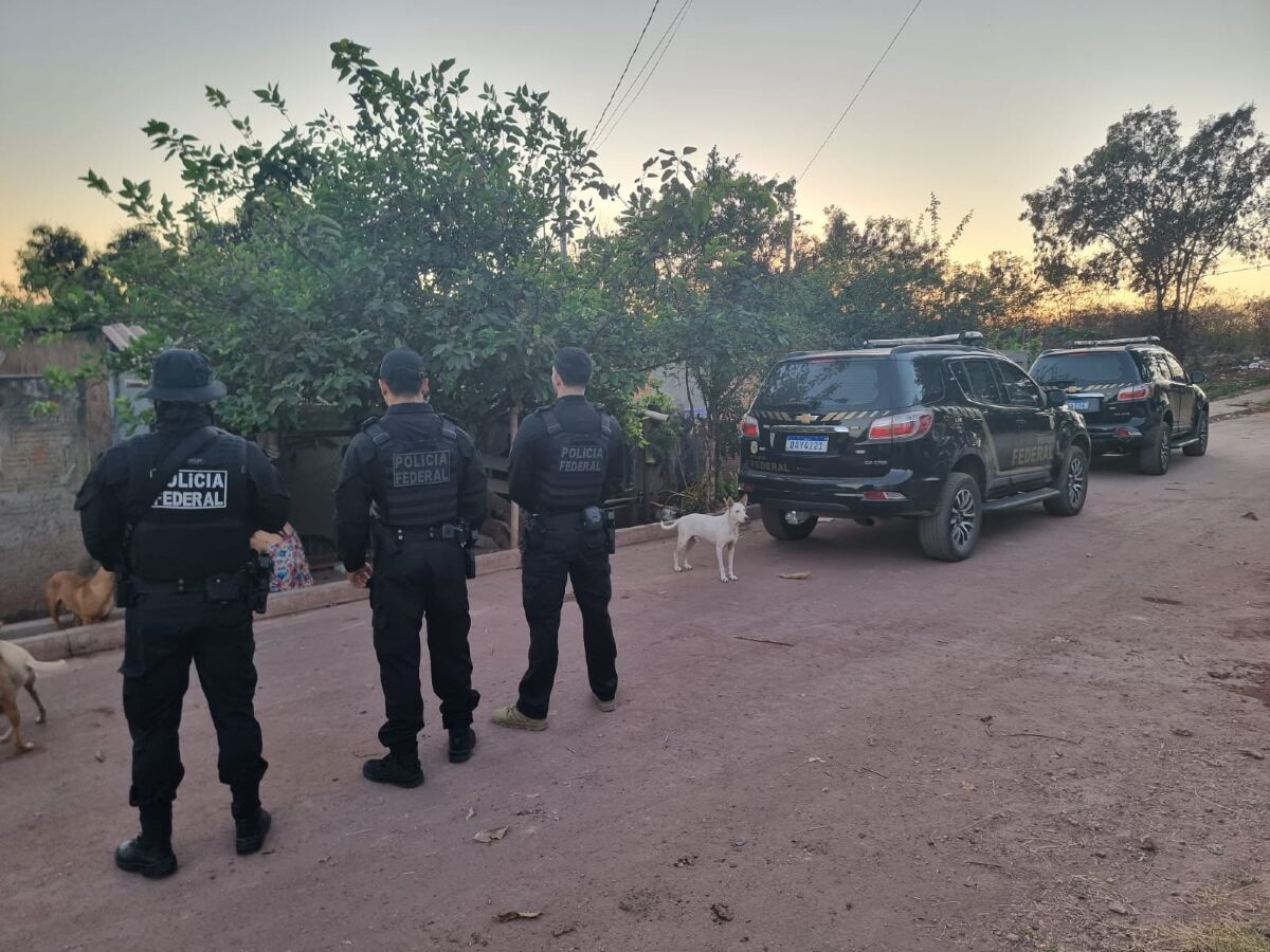 Caça ilegal de onça-pintada no Pantanal é alvo de operação