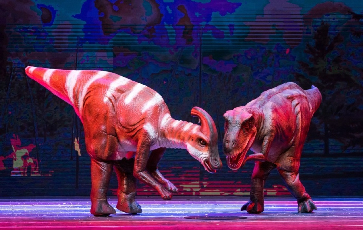 Circo Internacional China