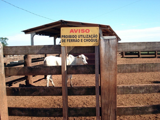 BPA busca uma abordagem integrada, envolvendo técnicos, pesquisadores e produtores rurais