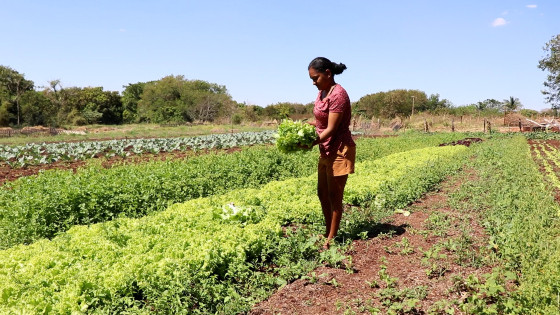 Horticultora com apoio da Agraer faz sucesso na feira e sustenta família