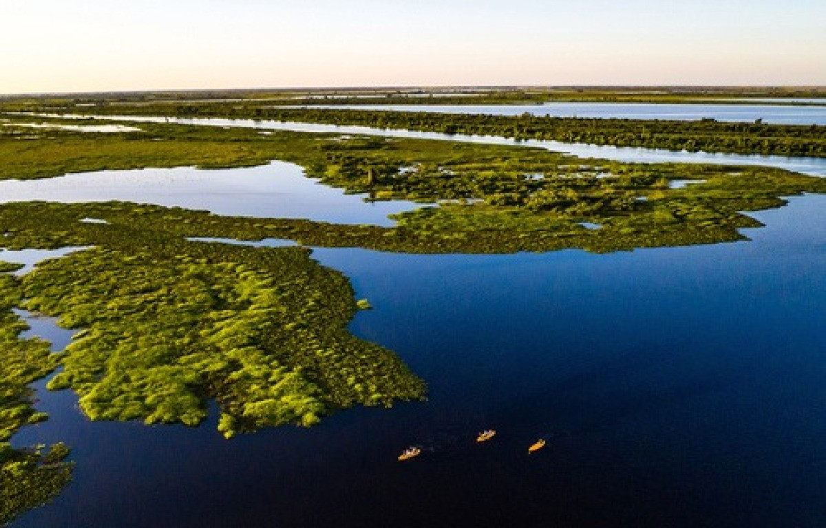 Pantanal