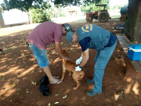 Vacinação na Zona Rural 